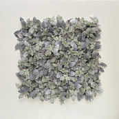 Hong Kong flora #7 / Camille Levert