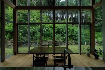 Mood of the week : Forêt