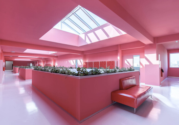 Mood of the week : Pink