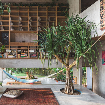 Mood of the week : Plantes exotiques